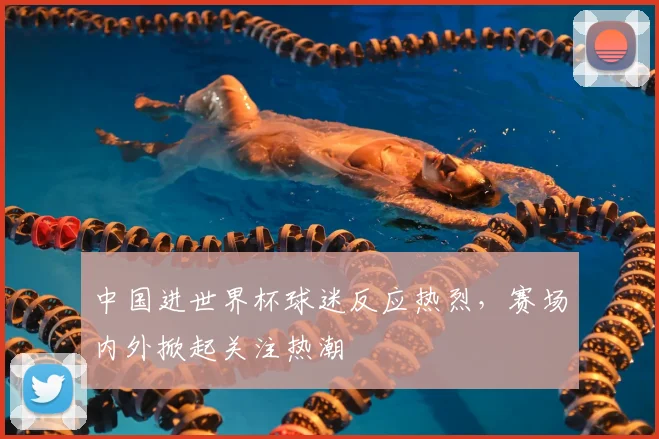 中国进世界杯球迷反应热烈，赛场内外掀起关注热潮