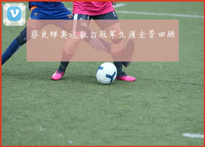 蔡良蝉奥运散打冠军生涯全景回顾