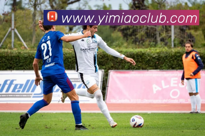 milan米兰官网服务体系